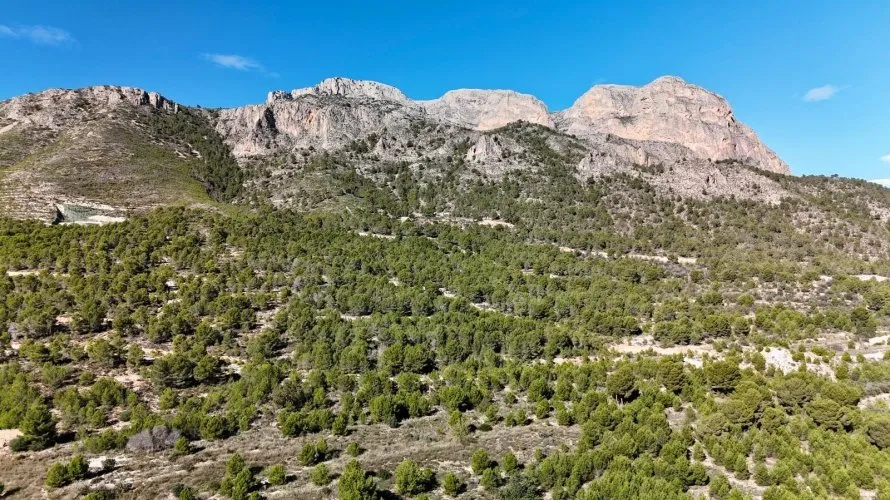 3 bedrooms apartment for sale, La Alberca, Spain No. 2191 № 6