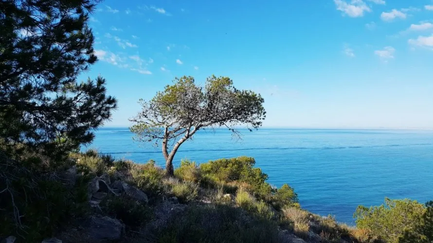 1 bedroom land plot for sale, Villajoyosa, Spain No. 1693 № 12