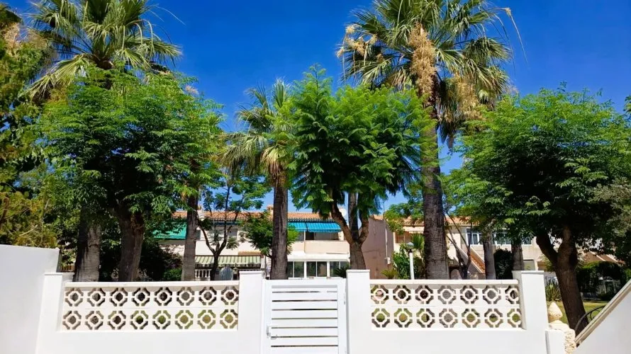 2 bedrooms bungalow for sale, La Regia, Spain No. 2816 № 4