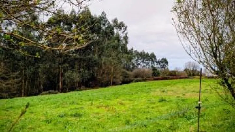 Land plot for sale, Cudillero, Spain No. 3019 № 17