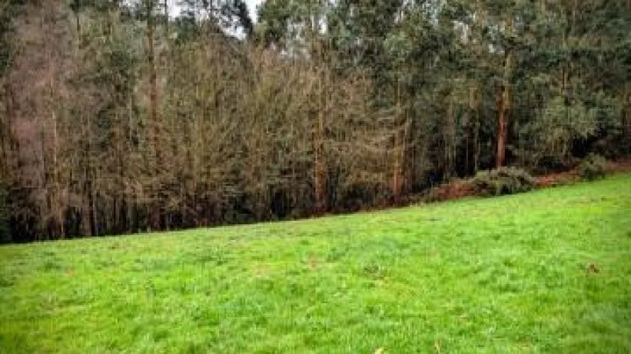 Land plot for sale, Cudillero, Spain No. 3019 № 19