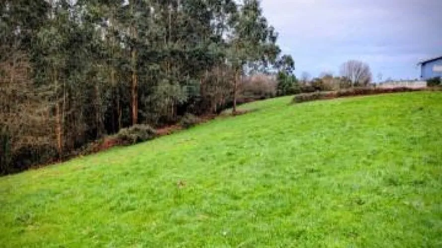 Land plot for sale, Cudillero, Spain No. 3019 № 18
