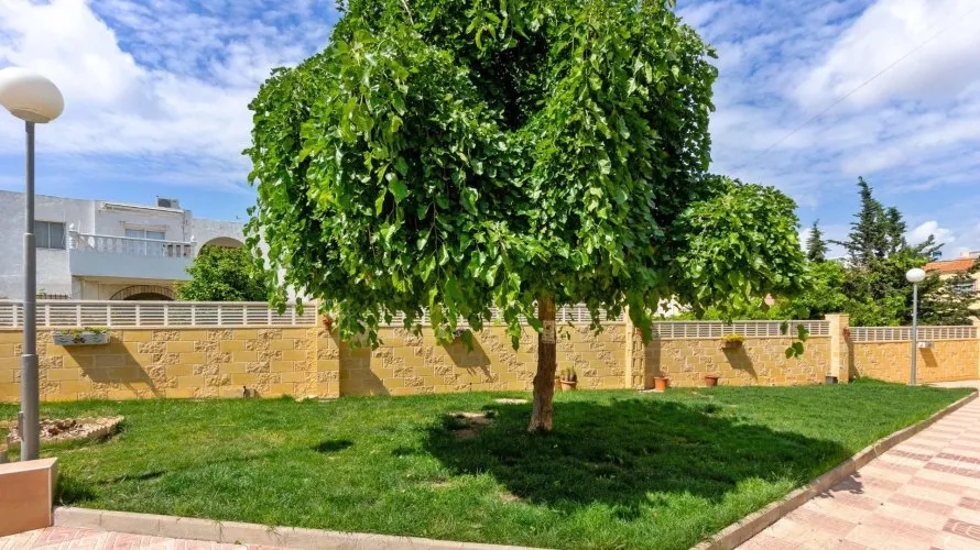1 bedroom land plot for sale, El Chaparral, Spain No. 3040 № 1