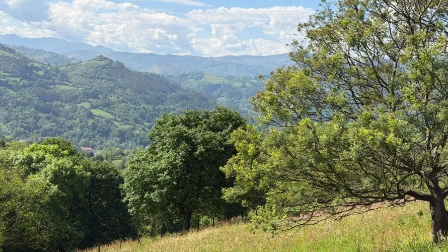 Land plot for sale, Oviedo, Spain No. 3062 № 1