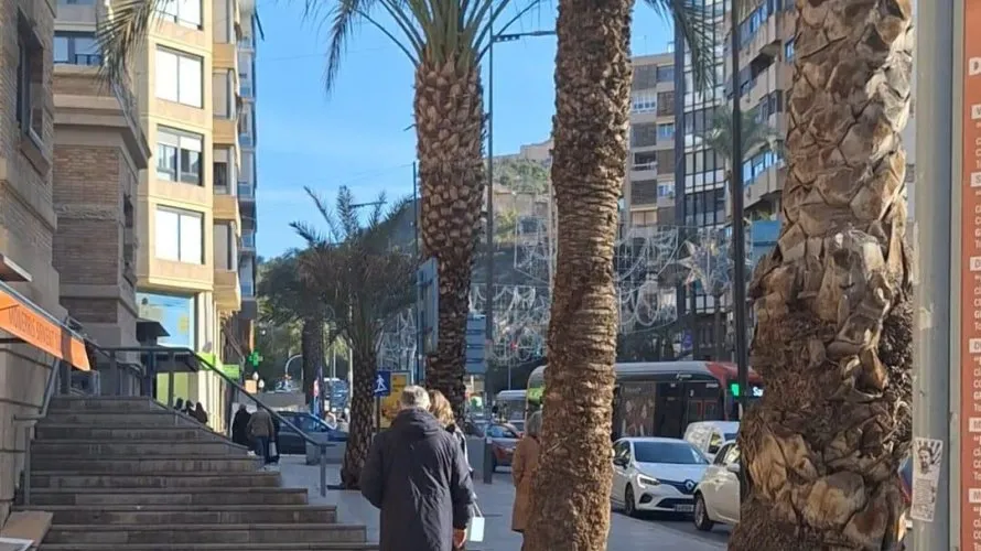 19m² commercial property for sale, Alicante, Spain No. 2997 № 6