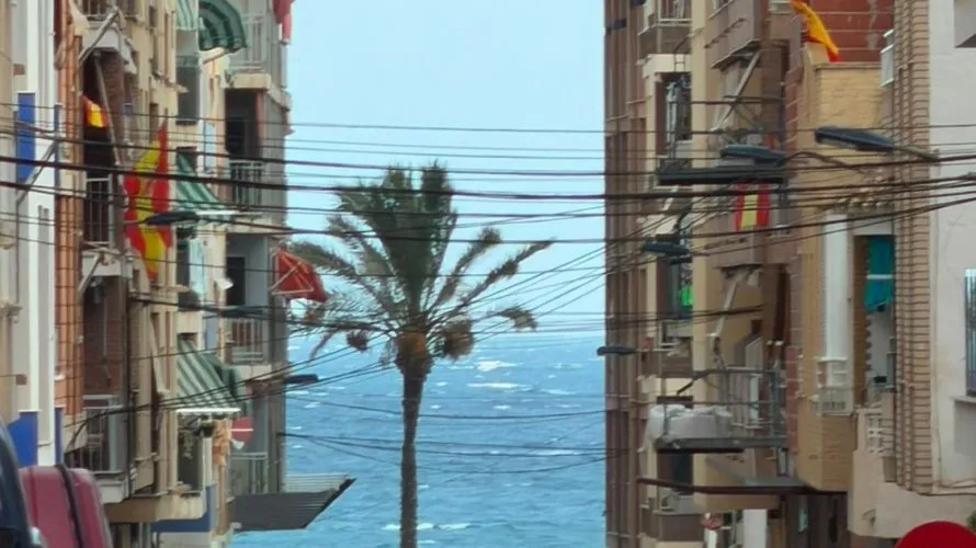 1 bedroom apartment for sale, Torrevieja, Spain No. 3425 № 24