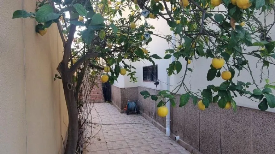 4 bedrooms villa for sale, Los Balcones, Spain No. 3357 № 16