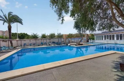 2 bedrooms apartment for sale, Pilar de la Horadada, Spain No. 3562